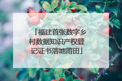 福建首张数字乡村数据知识产权登记证书落地莆田