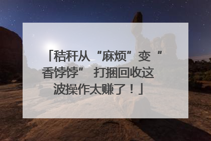 秸秆从“麻烦”变“香饽饽” 打捆回收这波操作太赚了！