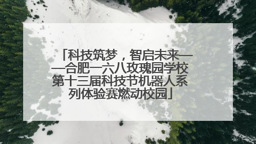 科技筑梦，智启未来——合肥一六八玫瑰园学校第十三届科技节机器人系列体验赛燃动校园