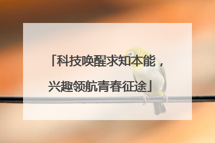 科技唤醒求知本能，兴趣领航青春征途