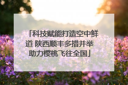 科技赋能打造空中鲜道 陕西顺丰多措并举助力樱桃飞往全国