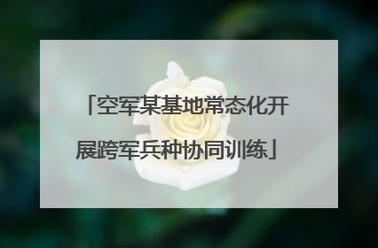 空军某基地常态化开展跨军兵种协同训练