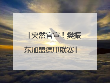 突然官宣！樊振东加盟德甲联赛