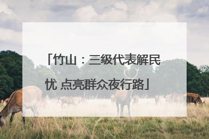 竹山：三级代表解民忧 点亮群众夜行路