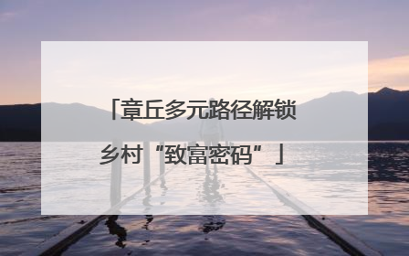 章丘多元路径解锁乡村“致富密码”