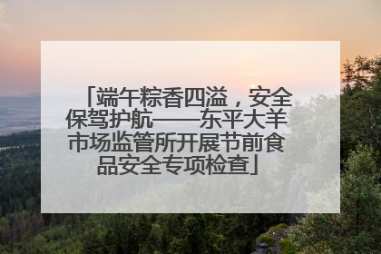 端午粽香四溢，安全保驾护航——东平大羊市场监管所开展节前食品安全专项检查