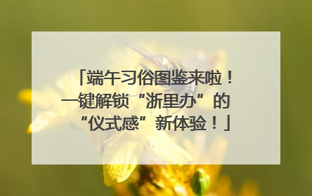 端午习俗图鉴来啦！一键解锁“浙里办”的“仪式感”新体验！