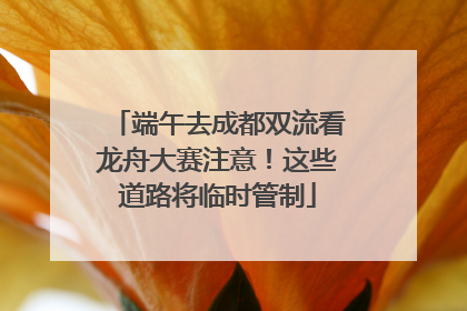 端午去成都双流看龙舟大赛注意！这些道路将临时管制
