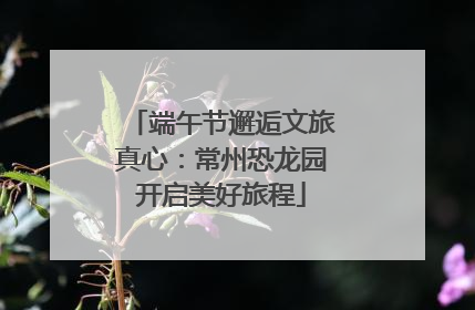 端午节邂逅文旅真心：常州恐龙园开启美好旅程