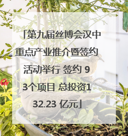 第九届丝博会汉中重点产业推介暨签约活动举行 签约 93个项目 总投资132.23 亿元