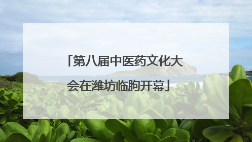 第八届中医药文化大会在潍坊临朐开幕