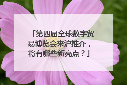 第四届全球数字贸易博览会来沪推介，将有哪些新亮点？
