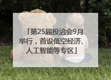 第25届投洽会9月举行，首设低空经济、人工智能等专区