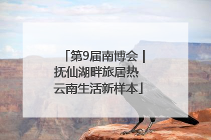 第9届南博会｜抚仙湖畔旅居热 云南生活新样本