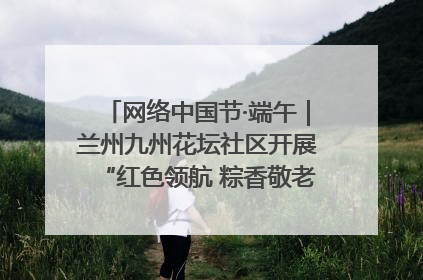 网络中国节·端午｜兰州九州花坛社区开展“红色领航 粽香敬老”端午主题活动