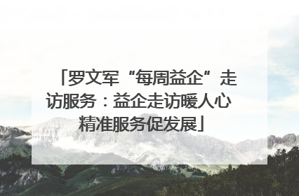 罗文军“每周益企”走访服务：益企走访暖人心 精准服务促发展