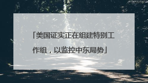 美国证实正在组建特别工作组，以监控中东局势