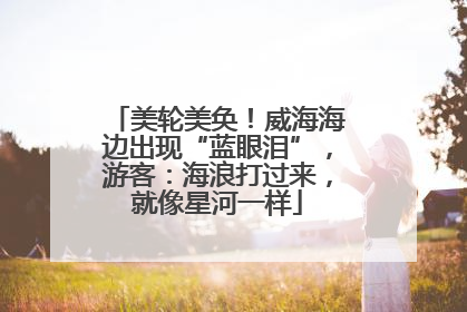 美轮美奂！威海海边出现“蓝眼泪”，游客：海浪打过来，就像星河一样