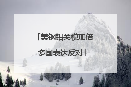 美钢铝关税加倍 多国表达反对