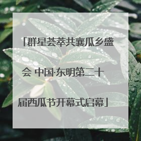 群星荟萃共襄瓜乡盛会 中国·东明第二十届西瓜节开幕式启幕