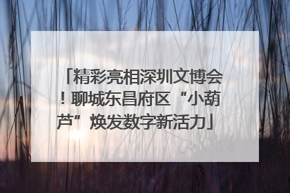 精彩亮相深圳文博会！聊城东昌府区“小葫芦”焕发数字新活力