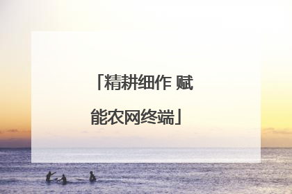 精耕细作 赋能农网终端