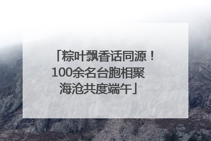 粽叶飘香话同源！100余名台胞相聚海沧共度端午