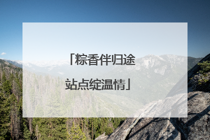 粽香伴归途 站点绽温情