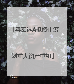 粤宏远A拟终止筹划重大资产重组
