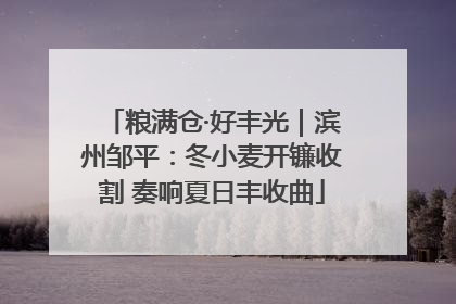 粮满仓·好丰光｜滨州邹平：冬小麦开镰收割 奏响夏日丰收曲