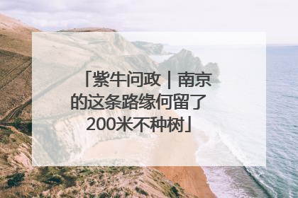 紫牛问政｜南京的这条路缘何留了200米不种树