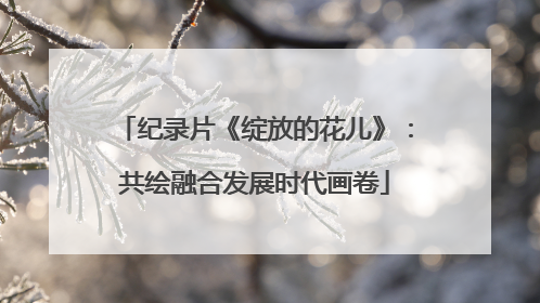 纪录片《绽放的花儿》：共绘融合发展时代画卷