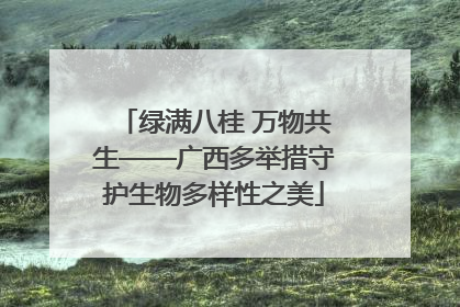 绿满八桂 万物共生——广西多举措守护生物多样性之美