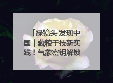 绿镜头·发现中国｜藏粮于技新实践！气象密钥解锁青稞高产基因