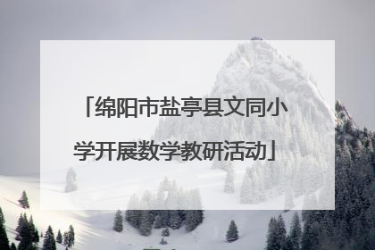绵阳市盐亭县文同小学开展数学教研活动