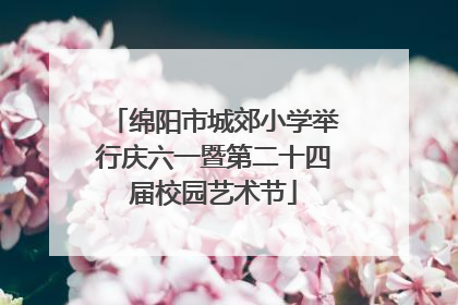 绵阳市城郊小学举行庆六一暨第二十四届校园艺术节