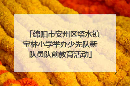 绵阳市安州区塔水镇宝林小学举办少先队新队员队前教育活动