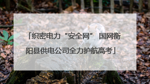 织密电力“安全网” 国网衡阳县供电公司全力护航高考