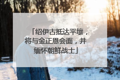 绍伊古抵达平壤，将与金正恩会面，并缅怀朝鲜战士