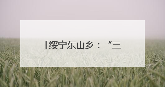 绥宁东山乡：“三会三文”领航向 人大代表助农忙