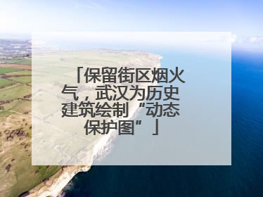 保留街区烟火气，武汉为历史建筑绘制“动态保护图”