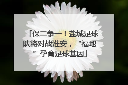 保二争一！盐城足球队将对战淮安，“福地”孕育足球基因