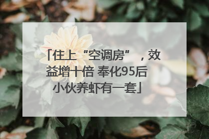 住上“空调房”，效益增十倍 奉化95后小伙养虾有一套