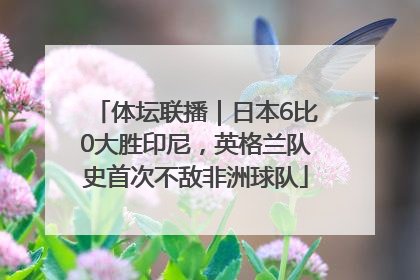 体坛联播｜日本6比0大胜印尼，英格兰队史首次不敌非洲球队