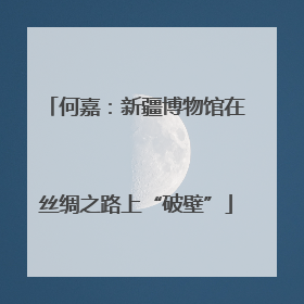 何嘉：新疆博物馆在丝绸之路上“破壁”