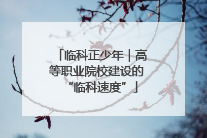 临科正少年｜高等职业院校建设的“临科速度”