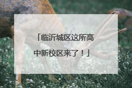 临沂城区这所高中新校区来了！