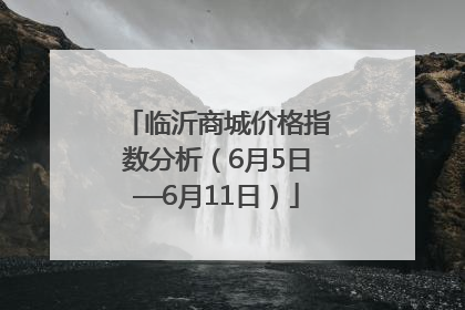 临沂商城价格指数分析（6月5日—6月11日）