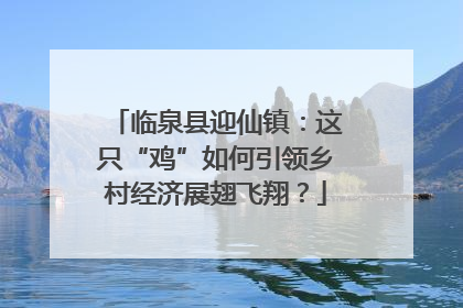 临泉县迎仙镇：这只“鸡”如何引领乡村经济展翅飞翔？