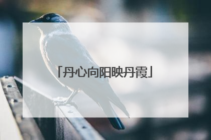 丹心向阳映丹霞